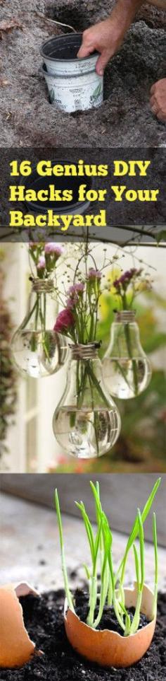 
                    
                        16 Genius DIY Hacks for Your Backyard
                    
                