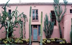 
                    
                        forestsexual:  i was trying to find the name for my succulents but i found this instead
                    
                