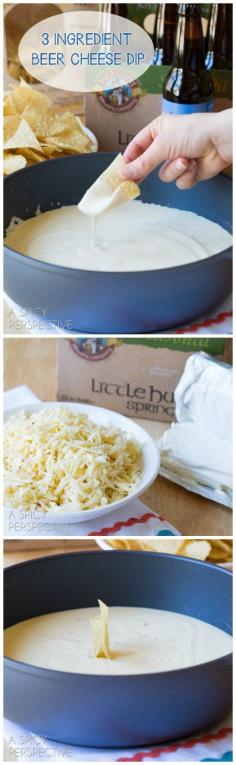 
                    
                        Awesome 3-Ingredient Beer Cheese Dip - Easy Queso Recipe for #CincodeMayo! #cheese #queso #cheesedip
                    
                