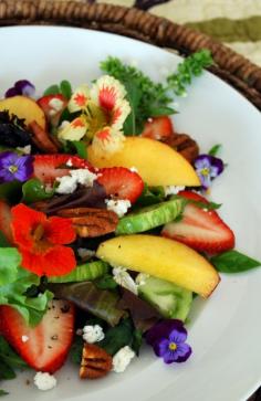 
                    
                        Summer salad
                    
                