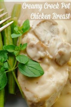 
                    
                        Creamy Chicken Breast Recipe
                    
                