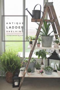
                    
                        Create this ladder shelving to display your favorite photos, potted plants, and more! Click for tutorial at LoveGrowsWild.com
                    
                