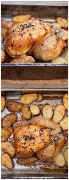 Roast chicken and potatoes are so delicious they shouldn't be reserved for special occasions only! www.wildernessmedical.com