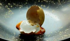 
                    
                        Top 100 australian restaurants
                    
                