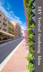 
                    
                        Sound intriguing?  It's a great way to garden especially if your short on space. Check it out!
                    
                