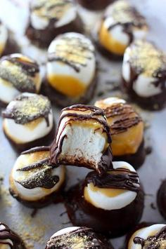 
                    
                        Dark Chocolate Salted Caramel Dipped Marshmallows
                    
                