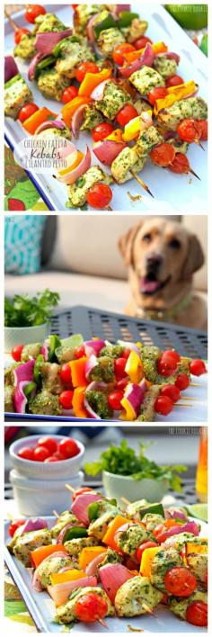 Chicken Fajita Kebabs with Cilantro Pesto. So yummy on the grill! #healthy #skinny #grill #recipe - The Cookie Rookie