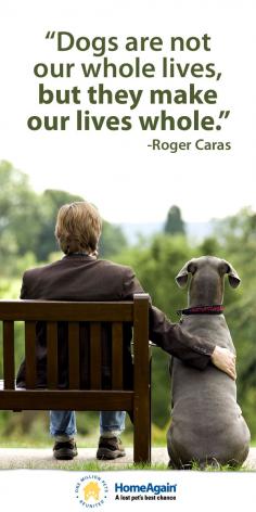 Must love #dogs! Inspirational dog quote