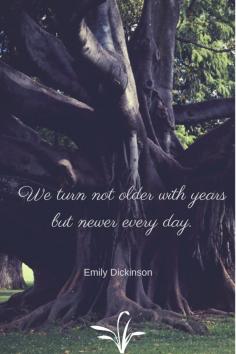 
                    
                        Droopy eyelids, prescription glasses...aging doesn't have to be scary. Join me at www.mrshinesclass... for some humorous insights on becoming middle-aged.quoteab
                    
                