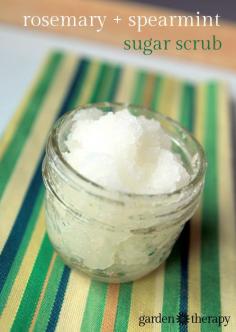Healing rosemary and spearmint sugar scrub recipe - Garden Therapy