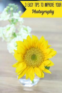 Pretty as a single flower