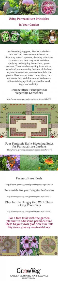 
                    
                        Permaculture is based on observing natural systems and by mimicking them in a garden situation.By incorporating permaculture into your own vegetable garden you will  increase its efficiency, help reduce the size of your carbon footprint and promote sustainability: This promotes a blend of organic harmony where companion planting flourishes, perennial vegetables and fruits thrive and annuals are sustained by a holistic approach to soil management, bringing the natural world to your back yard.
                    
                