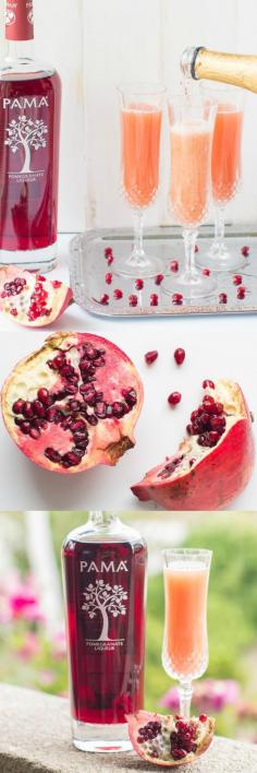 
                    
                        Brunch perfected: This PAMA Pomegranate Mimosa has the traditional ingredients plus a delicious, sweet yet tart splash of all-natural pomegranate flavor.
                    
                