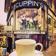 
                    
                        25 Sweet Cupcake Shops Around The World To Eat At Before You Die
                    
                