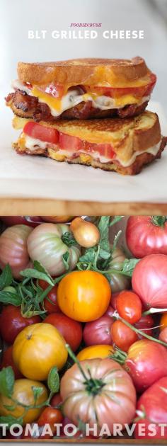 
                    
                        The new BLT: B is for bacon, L is for lacy swiss and T is for tomato | foodiecrush.com
                    
                