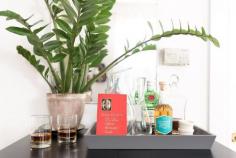 
                    
                        Claire & Luke's Soulful Logan Square Apartment
                    
                