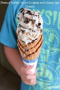Peanut Butter Swirl and Cookies Ice Cream !