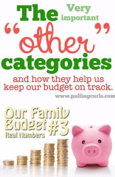 *Includes our ACTUAL budget #'s* To make larger purchases during the month I have other "pots" I can take money from. Maybe that kind of budgeting idea can help you too! #pullingcurls