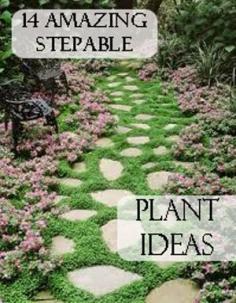 make walkways more inviting ....Garden path - The thyme growing between these stepping stones adds a heady fragrance to strolls along this lush, low-maintenance garden path. Photo # 10 of 16 | Photo: gardenwiseinc.com