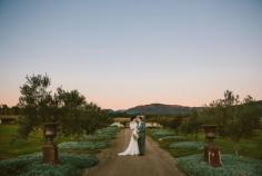 
                    
                        Margan Hunter Valley winter wedding. Image: Cavanagh Photography cavanaghphotograp...
                    
                