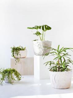 
                    
                        Plant pots from left to right. Styling – Nat Turnbull, Photo – Elise Wilken for The Design Files.
                    
                