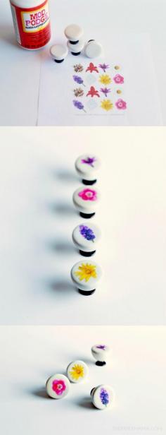 
                    
                        There are a ton of cute drawer pulls out there, but I couldn't find any that would really work for a small dresser in my daughter's room. So I made my own, and you can use the printable and Mod Podge too!
                    
                