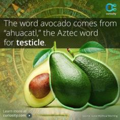 
                    
                        HAHAHAHAHAHAHAH!!!!!  THAT IS HILARIOUS!!!!! :D
                    
                