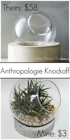 
                    
                        anthropologie terrarium knockoff
                    
                