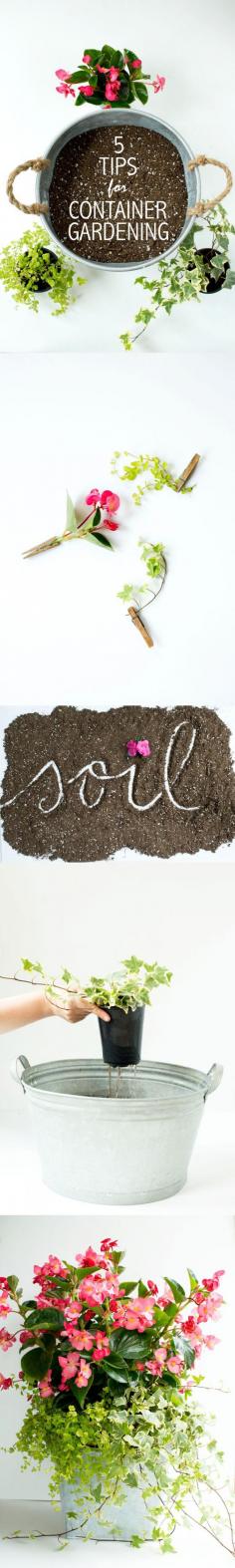 What’s Happening This Week in DIY Home Decor Projects | The Cottage Market