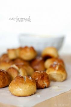 big red clifford: easy pretzel bites  jalapeño cheese dip | weekend food