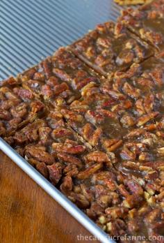 Southern Pecan Praline Bars w/ Graham Cracker Crust