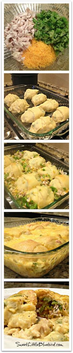 CHEESY CHICKEN CRESCENT BAKE - Crescent rolls stuffed with rotisserie chicken, broccoli and cheddar cheese, baked, then smothered in a cheesy sauce....and baked again. Absolutely delicious! PERFECT for LEFTOVER TURKEY!!!| SweetLittleBluebird.com