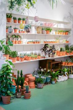 
                    
                        Wildernis in Amsterdam · Happy Interior Blog
                    
                