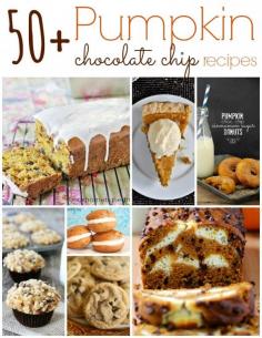 Delicious Pumpkin Chocolate Chip Recipes