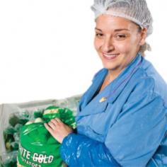 Processed vegetable quality control