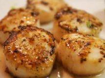 sea_scallops
