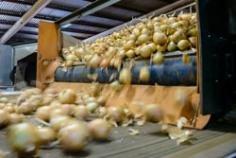 Sumich Group | Quality