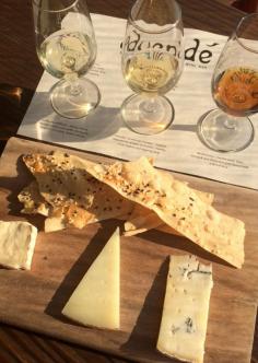 The Best Flight You’ll Ever Experience