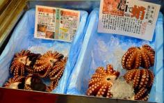 Image result for south korean seafood supply