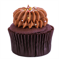 Chocolate (V+GF+LFM) - Babycake