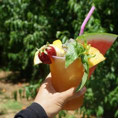 S&R Orchard Summer Fruits Picking Festival Perth