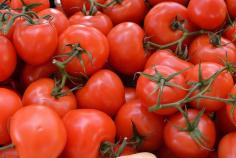 S&R Orchard Summer Fruits Picking Festival Perth