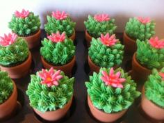 Succulent cupcakes
