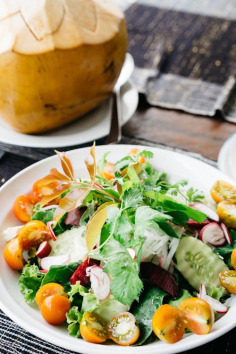Free Healthy fresh salad with cucumbers, tomatoes, and tropical coconut in Bali. Stock Photo